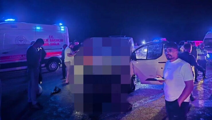 Panelvan yola çıkan ata çarptı: 1 ölü, 2 yaralı
