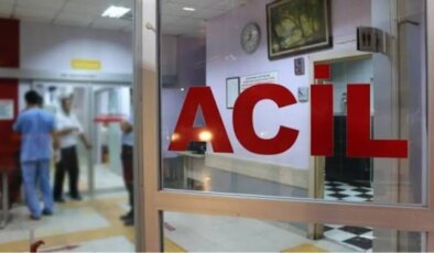 Sıcakların bastırmasıyla ishal, ateş ve kusma vakalarında büyük artış var