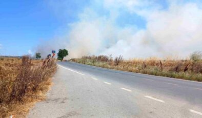 Silivri’de korkutan tarla yangını: Polis vatandaşları uyardı