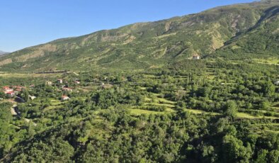 Şırnak’ta ormanlara girişler yasaklandı