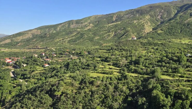 Şırnak’ta ormanlara girişler yasaklandı