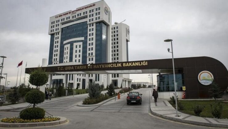 Tarım ve Orman Bakanlığı’ndan içeriğinde ormangülü bulunan ürünlere ilişkin karşı uyarı