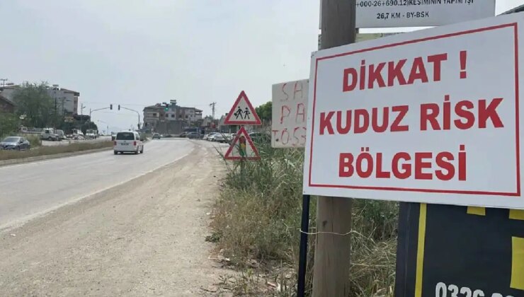 Van Edremit’te ‘kuduz’ alarmı… 7 mahalle karantinaya alındı