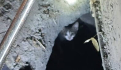 3 gün mahsur kaldı: Kedi 2 saatlik çalışmayla kurtarıldı