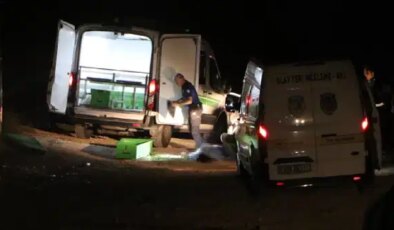 Adana’da seyir tepesinde dehşet… 1’i kadın 3 kişi öldürüldü