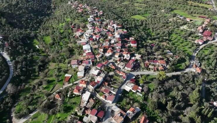 Akbelen’de el koyma ve değer tespit davaları Danıştay kararı kesinleşene kadar durduruldu