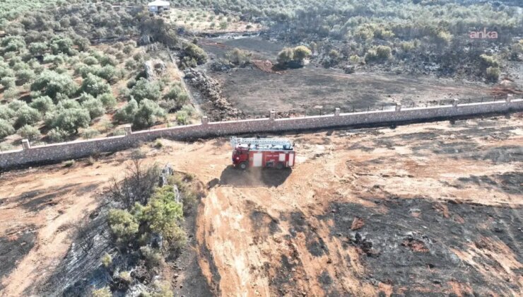 Antalya Kepez’deki orman yangını 4 saatte kontrol altına alındı