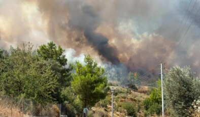 Antalya’nın Kumluca ilçesinde çıkan orman yangını kontrol altına alındı