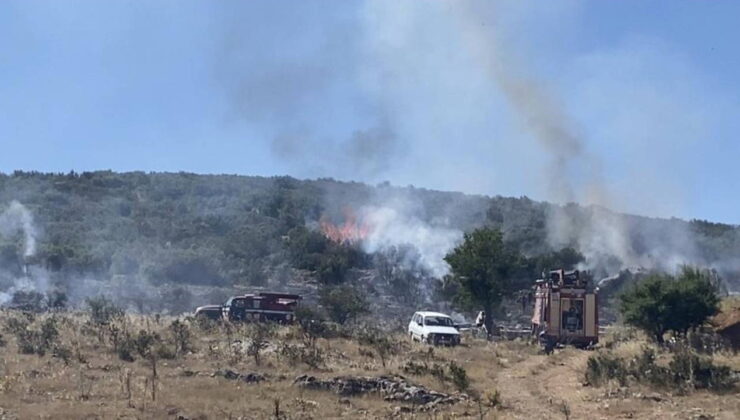 Arıcının tütsüsü ormanı yaktı