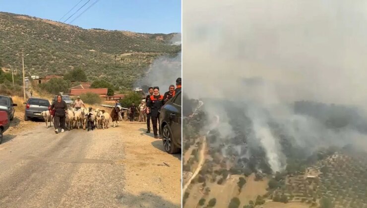 Aydın’da tarım arazisinde yangın: İki mahalle tahliye ediliyor