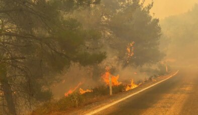 Balıkesir Gömeç’teki orman yangını 3. gününde: İzmir Bergama’ya kadar ulaştı…