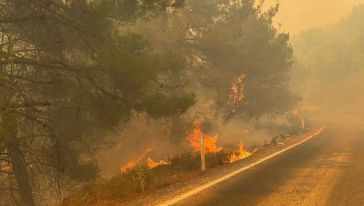 Balıkesir Gömeç’teki orman yangını 3. gününde: İzmir Bergama’ya kadar ulaştı…