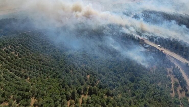 Balıkesir Susurluk’ta orman yangını: Havadan ve karadan müdahale sürüyor
