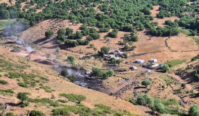 Bingöl’de orman kesimleri sürüyor: Çevre aktivistleri yetkililerden açıklama istedi