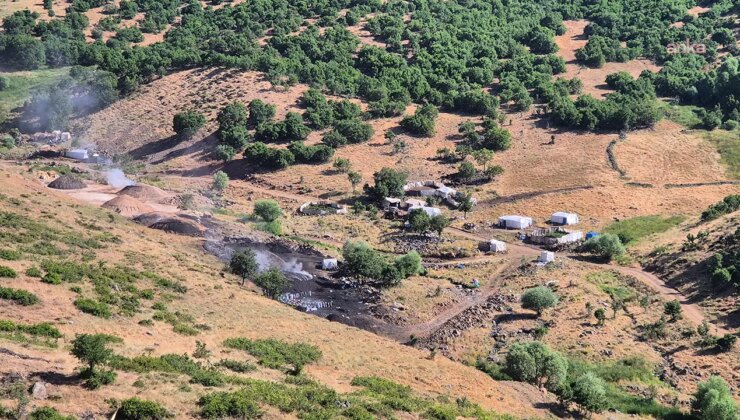Bingöl’de orman kesimleri sürüyor: Çevre aktivistleri yetkililerden açıklama istedi