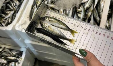 Buca Balık Hali’nde denetim: 241 kilogram su ürününe el konuldu