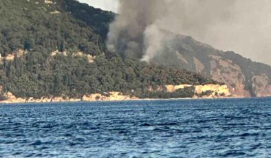 Büyükada’da plajda yangın! Alevler ormana sıçradı