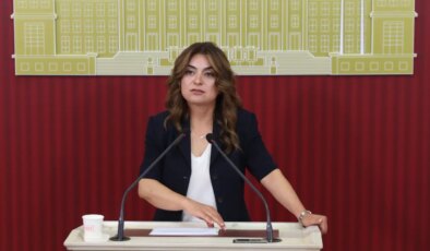 DEM Parti Grup Başkanvekili Koçyiğit: ‘Süreçle ilgili çerçeve yasa taslağının bu hafta İmralı Heyeti’ne sunulmasını bekliyoruz’