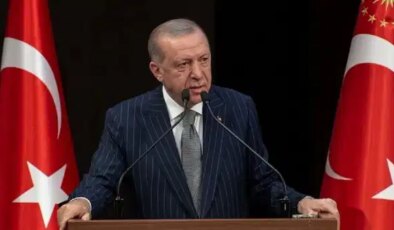Erdoğan’dan NATO Zirvesi tepkilerine yanıt: ‘Türkiye’nin müstesna ev sahipliğine kara çalmak için hezeyanlar üretiyorlar’
