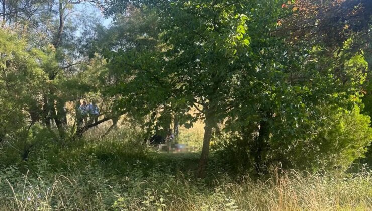 Eskişehir’de ağaçlık alanda ölü bulundu