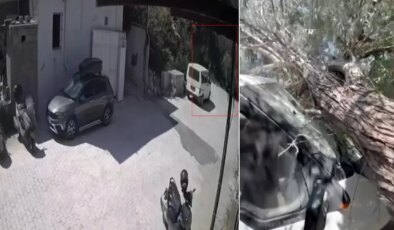 Evin avlusundaki ağaç kamyonetin üzerine devrildi