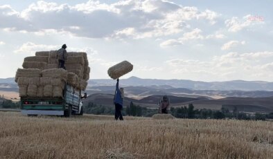 Hububattan bu yıl iyi verim alınan Yozgat’ta saman fiyatı düştü