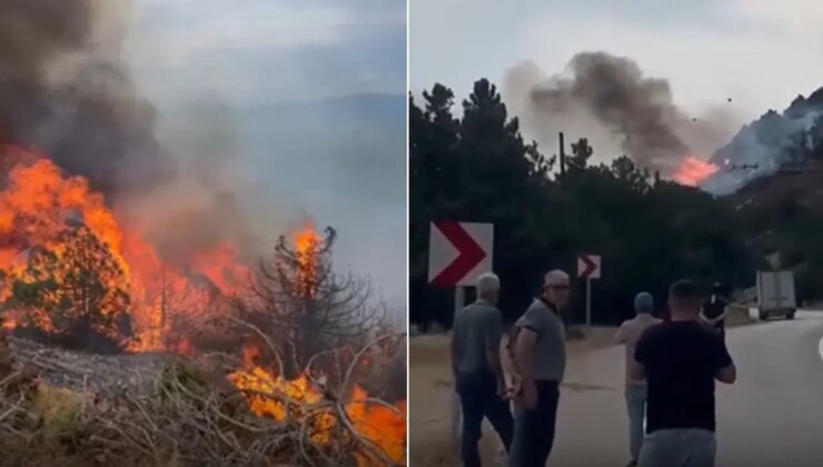 Isparta’da orman yangını: Alevler büyüdü, ekiplerin müdahalesi sürüyor