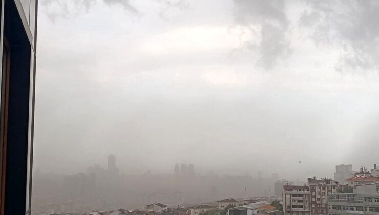 İstanbul’da fırtına etkili oldu, ağaçlar devrildi