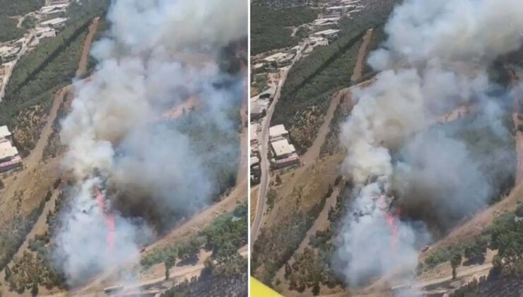 İzmir’de otluk alanda çıkan yangın ormana sıçradı