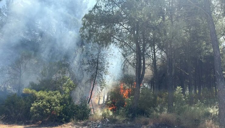İzmir’in 2 ilçesindeki orman yangınlarına ilişkin 2 gözaltı