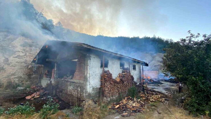 Kastamonu’da bir evde çıkan yangın ormanlık alana sıçradı