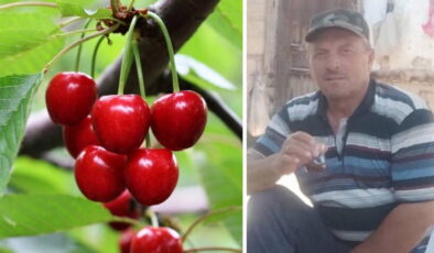 Kastamonu’da kiraz yiyen çift hayatını kaybetti: ‘Tarım ilacı’ şüphesi