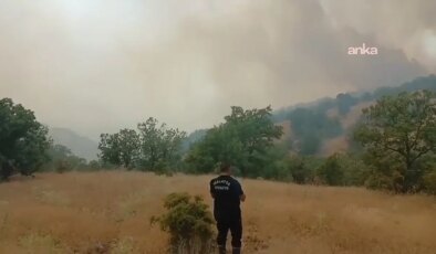 Malatya Pütürge’de orman yangını: Ekipler müdahale ediyor!