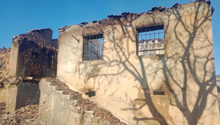 Malatya’da evde çıkan yangın ormana sıçradı: 2 ev zarar gördü