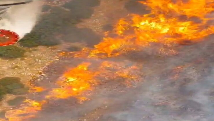 Manisa Akhisar’da orman yangını
