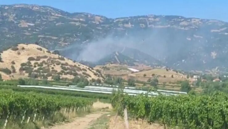 Manisa’da makide başlayan yangın ormana sıçradı