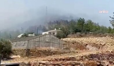 Mersin’de orman yangını: Yerleşim yerlerine yakın bölgede çıktı