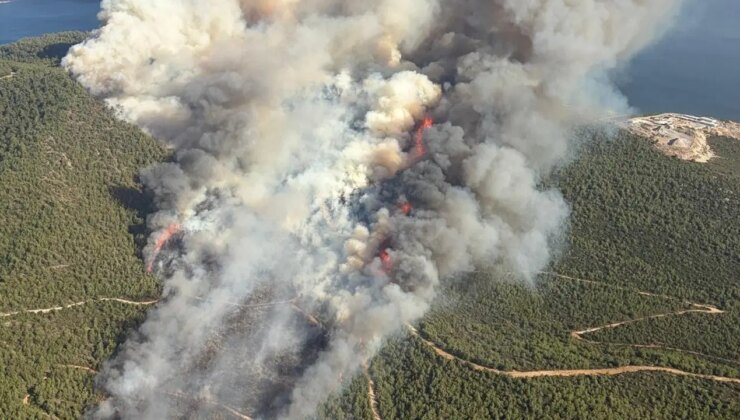 Muğla’da 3 ayrı noktada yangın: Müdahale sürüyor