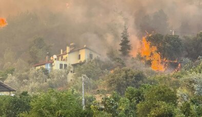 Muğla’da orman yangını: Alevler evlerle ulaştı, yurttaşlar tahliye ediliyor