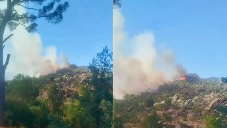 Muğla’da orman yangını: Ekipler müdahale ediyor