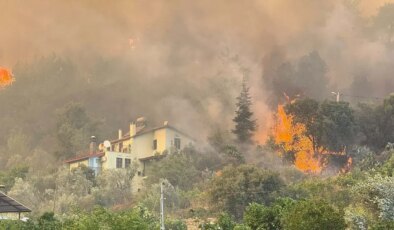 Muğla’daki orman yangını kontrol altına alındı