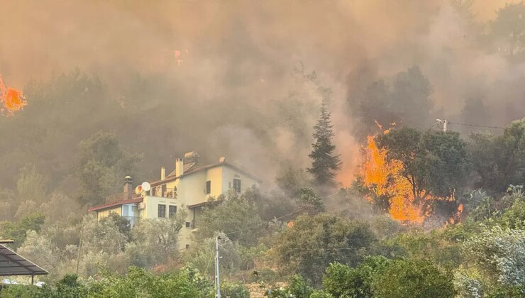 Muğla’daki orman yangını kontrol altına alındı