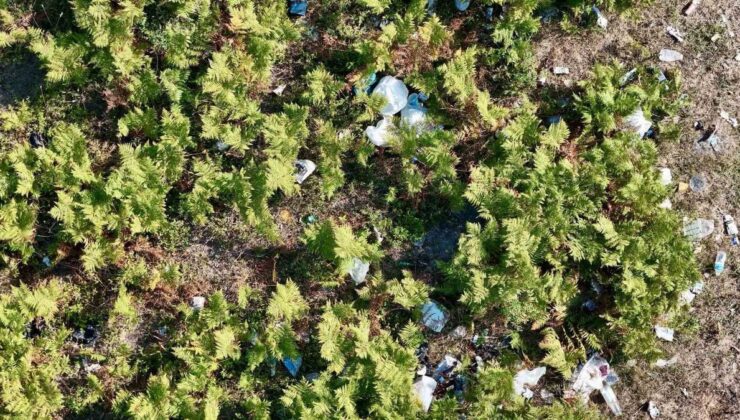 Ormana girişler yasak ama Kızıltepe’yi çöplüğe çevirdiler: Yangın riski havadan görüntülendi