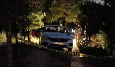 Ormanda bir kişiyi yaraladı, kaçarken tır çarptı