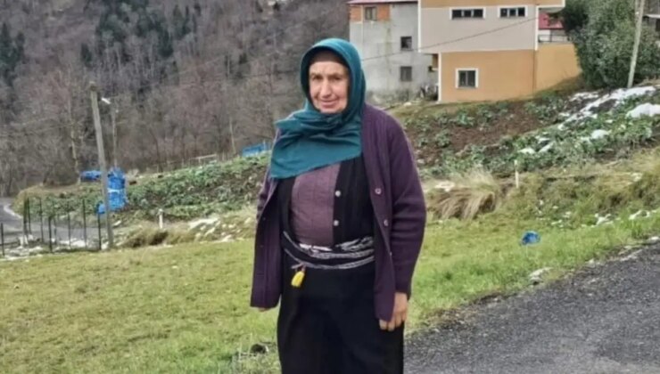 Ot biçme kavgası can aldı: 1 ölü, 2 yaralı