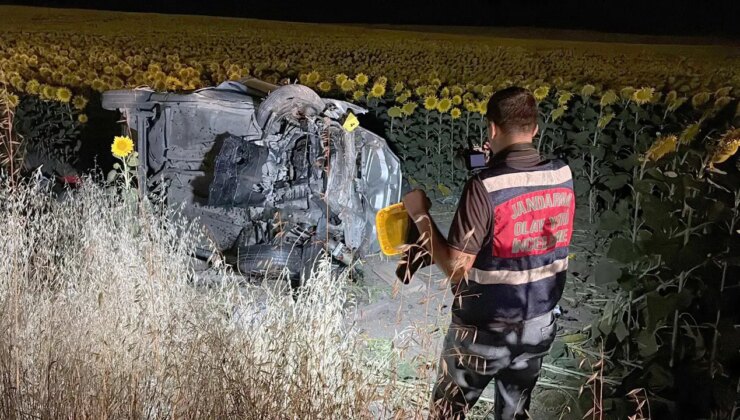 Otomobil ayçiçeği tarlasına devrildi: 5 kişi yaralandı