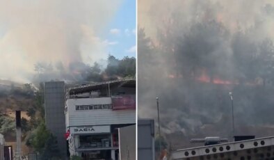 Son dakika… Ankara’da ODTÜ Ormanı’nda yangın!
