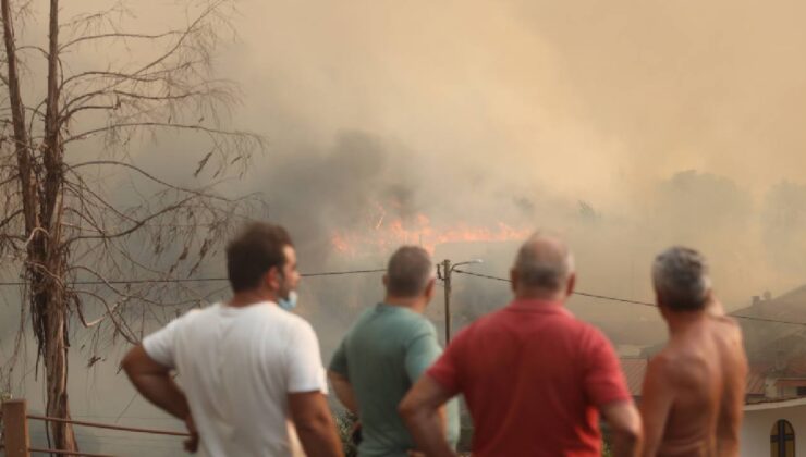 Tarım ve Orman Bakanlığı’ndan 9 ildeki yurttaşlara uyarı mesajı