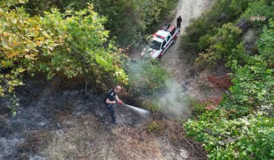 Tekirdağ Malkara’da orman yangını: 3 saatte kontrol altına alındı
