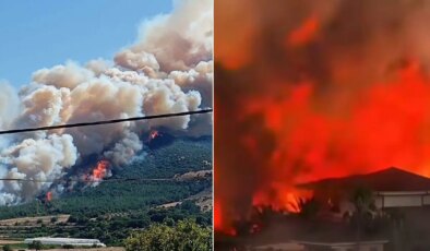 Türkiye’nin ciğerleri yanıyor… Birçok şehirde orman yangını: Hastane ve evler tahliye edildi, yollar kapatıldı!